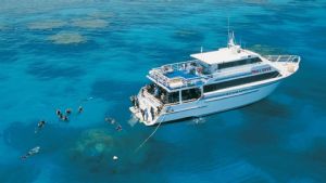 Scuba Diving the Great Barrier Reef with Pro Dive