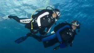 Students Learning to Dive with Pro Dive Coogee