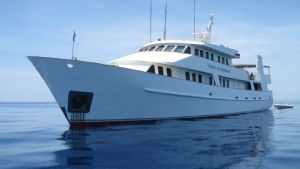 4 Day / 4 Night Coral Sea & Ribbon Reefs Adventure - Spirit Of Freedom - Dive Adventure