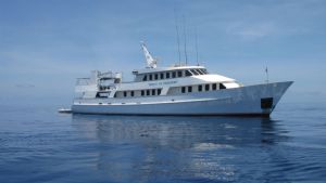 Spirit of Freedom Scuba diving Liveaboard 
