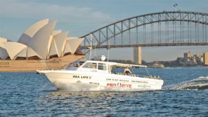 Sydney Double Boat Dive