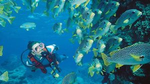 Diver after completing their learn to dive course with Pro Dive