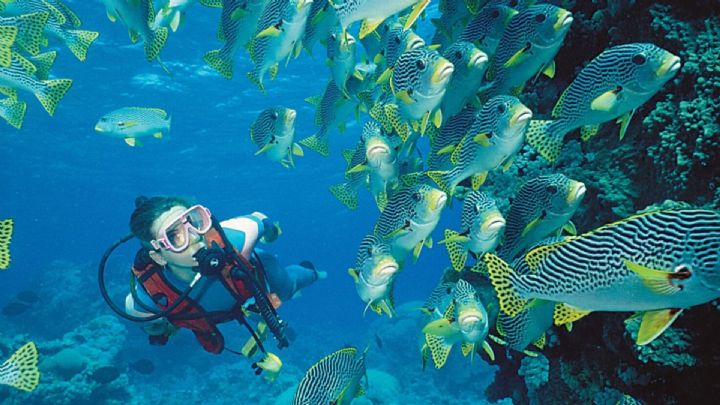 Diver after completing their learn to dive course with Pro Dive