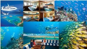 3 Day / 3 Night Cod Hole & Ribbon Reef- Spirit Of Freedom - Dive Adventure