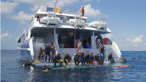 Aqua Quest - Outer Reef Day Trip