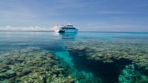 https://www.prodive.com.au/Great+Barrier+Reef+-+Cairns/Openwater+Courses/4+Day+e'learning+Learn+to+Dive+Scuba+Course+-+Great+Barrier+Reef+-+Cairns/1568