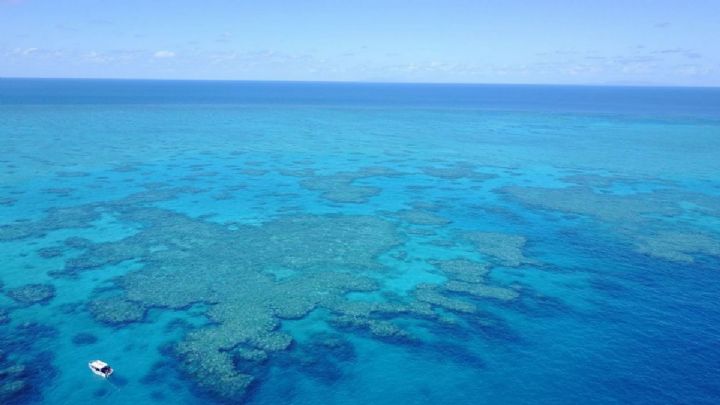 Dive Barrier Magnetic Island with PRO DIVE