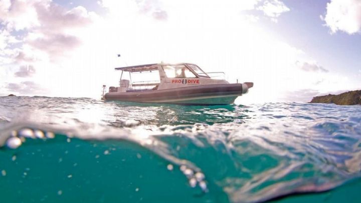 Boat Dives