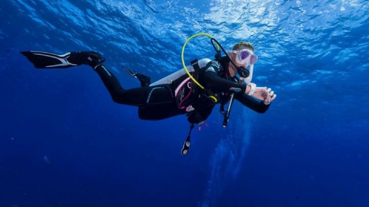 Scuba Dive sydney - coogee with PRO DIVE